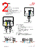 MAINSLINK-RX Datasheet HTML 2Page - rfsolutions.ltd 